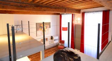 Appart Ambiance - Le Canut Lyon Buitenkant foto